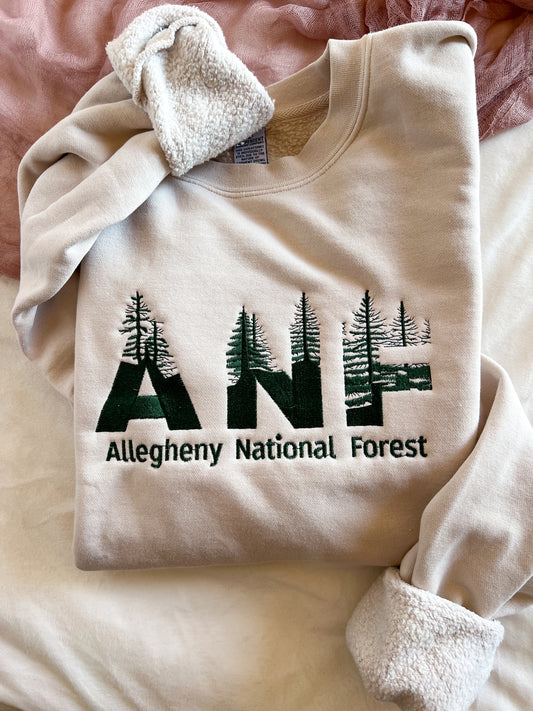 ANF Sweatshirt